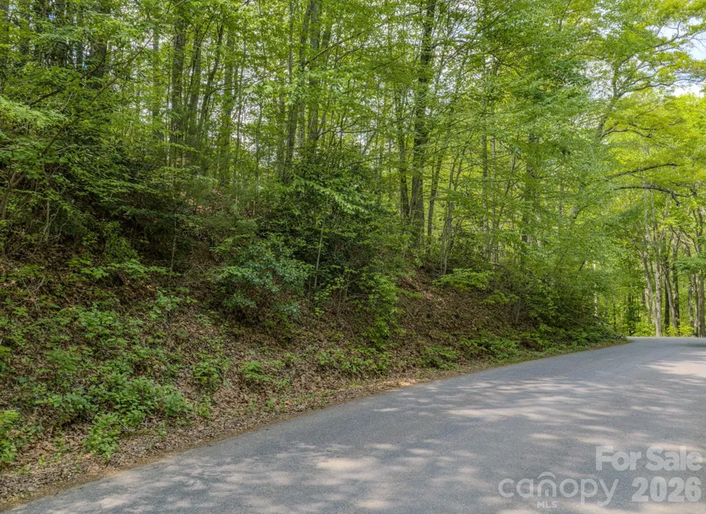 259 Mockingbird Road #1 Swannanoa, NC 28778