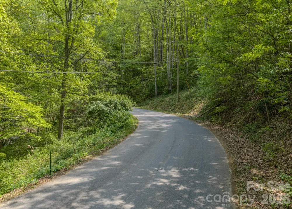 259 Mockingbird Road #1 Swannanoa, NC 28778