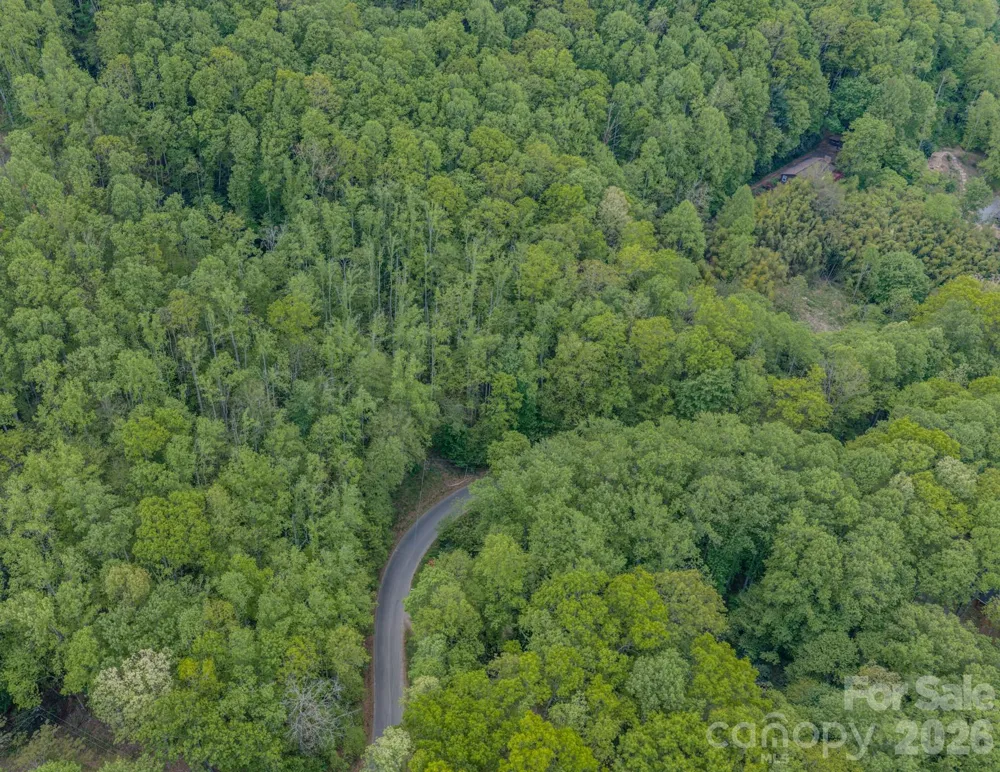 259 Mockingbird Road #1 Swannanoa, NC 28778