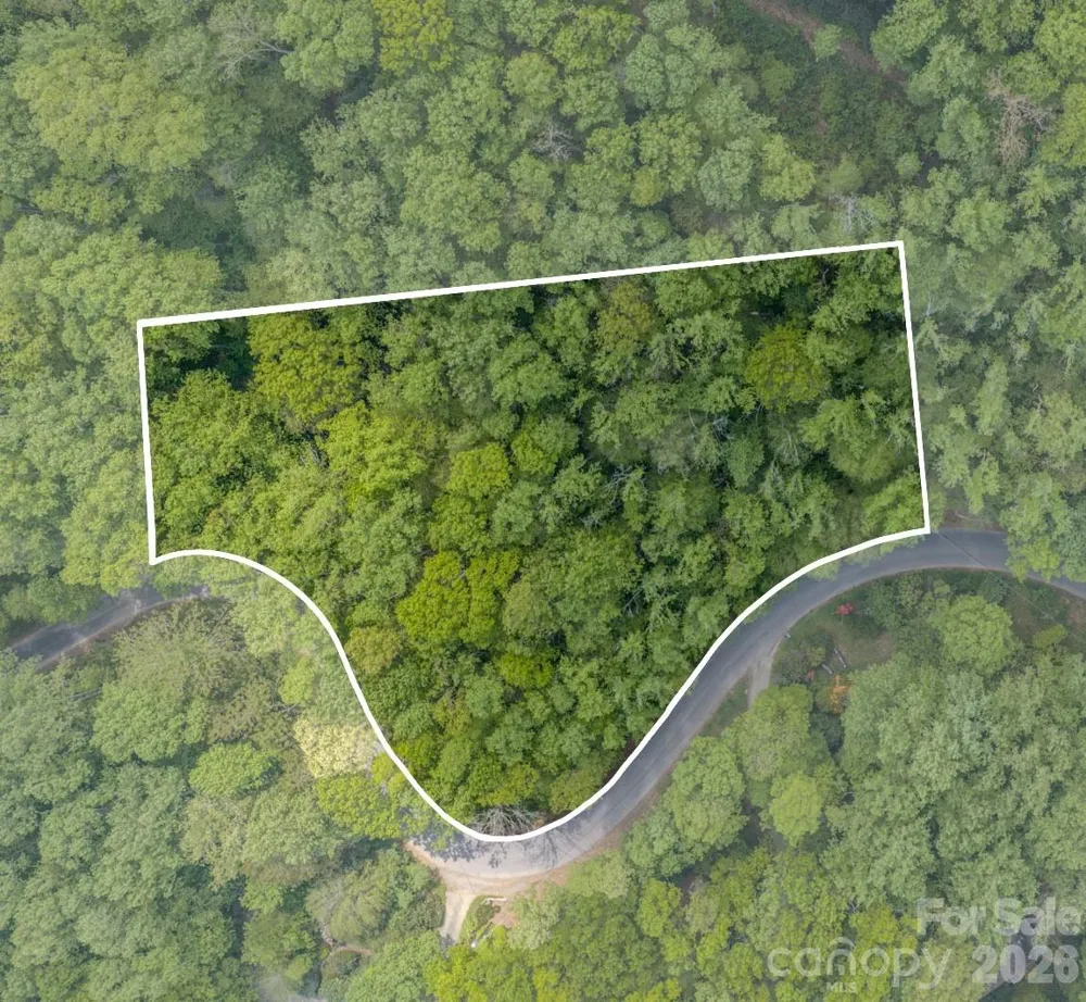 263 Mockingbird Road #2 Swannanoa, NC 28778