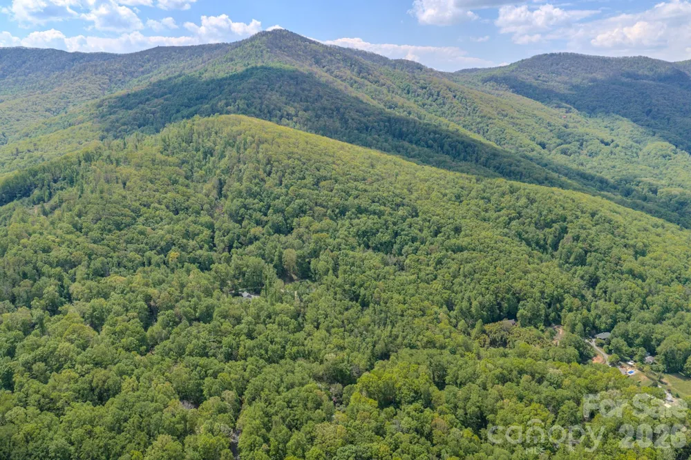 263 Mockingbird Road #2 Swannanoa, NC 28778