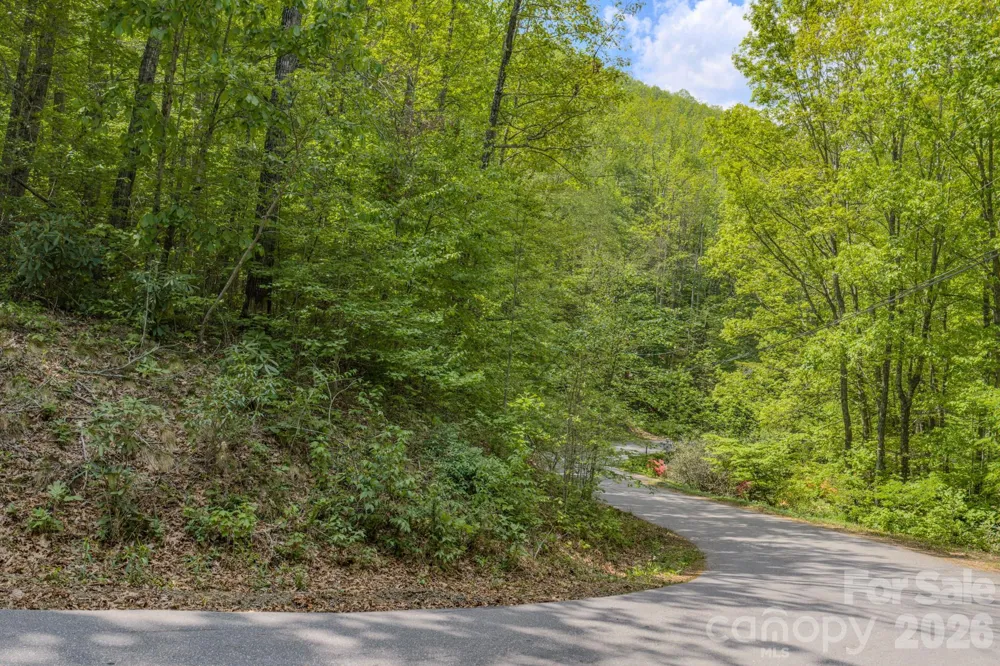 263 Mockingbird Road #2 Swannanoa, NC 28778