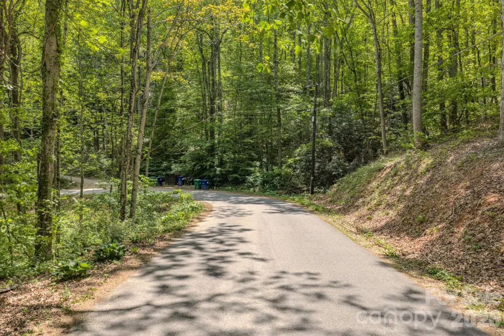 263 Mockingbird Road #2 Swannanoa, NC 28778