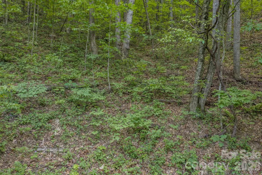 263 Mockingbird Road #2 Swannanoa, NC 28778