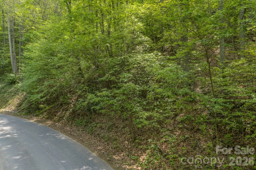 263 Mockingbird Road #2 Swannanoa, NC 28778