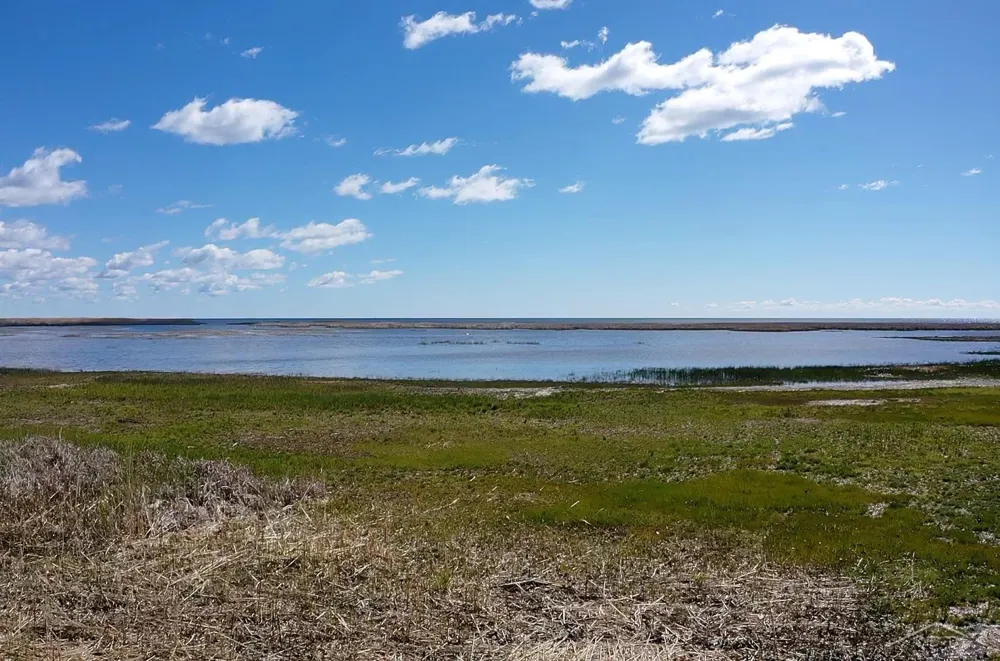 2788 Saginaw Bay Shore Drive Fraser Township, MI 48650