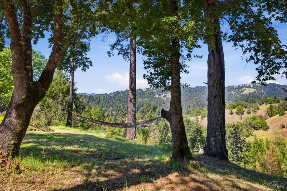 28812 Bohan Dillon Road Cazadero, CA 95421