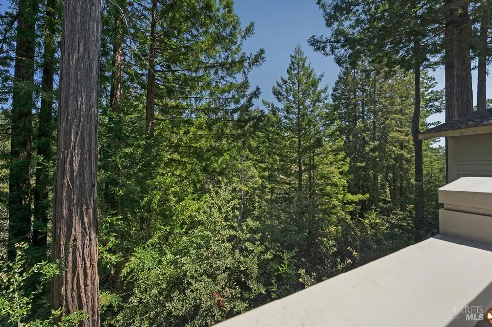 21995 Ansel Court Jenner, CA 95450