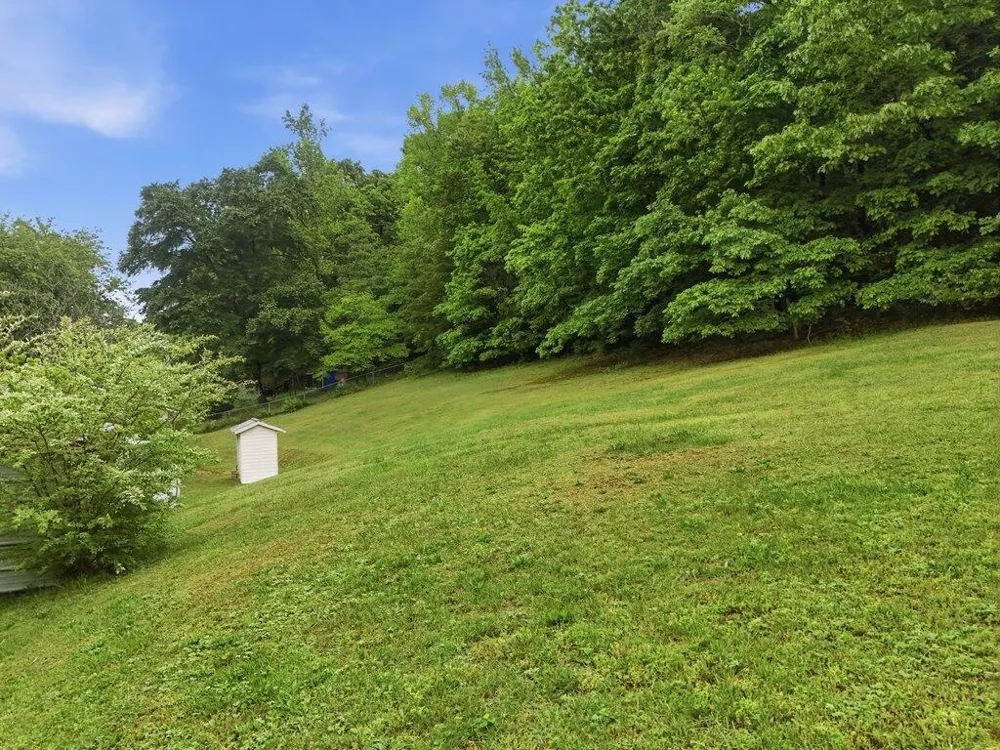5780 Toestring Valley Road Spring City, TN 37381