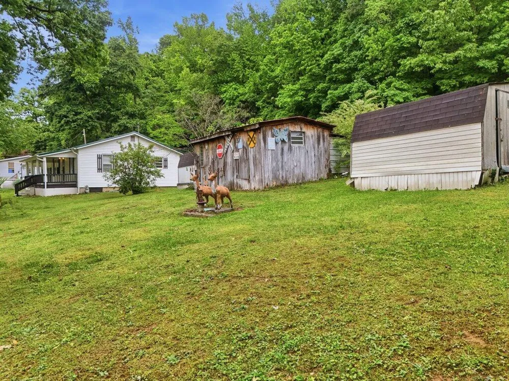 5780 Toestring Valley Road Spring City, TN 37381