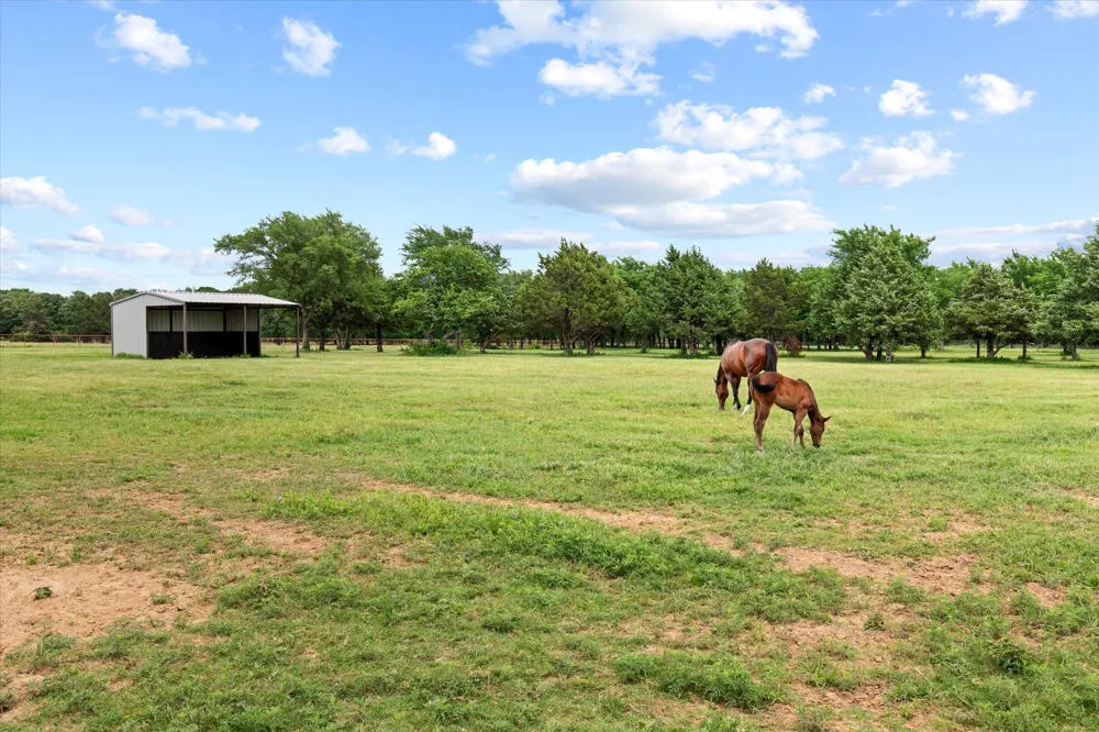 10701 Osburn Road Pilot Point, TX 76258