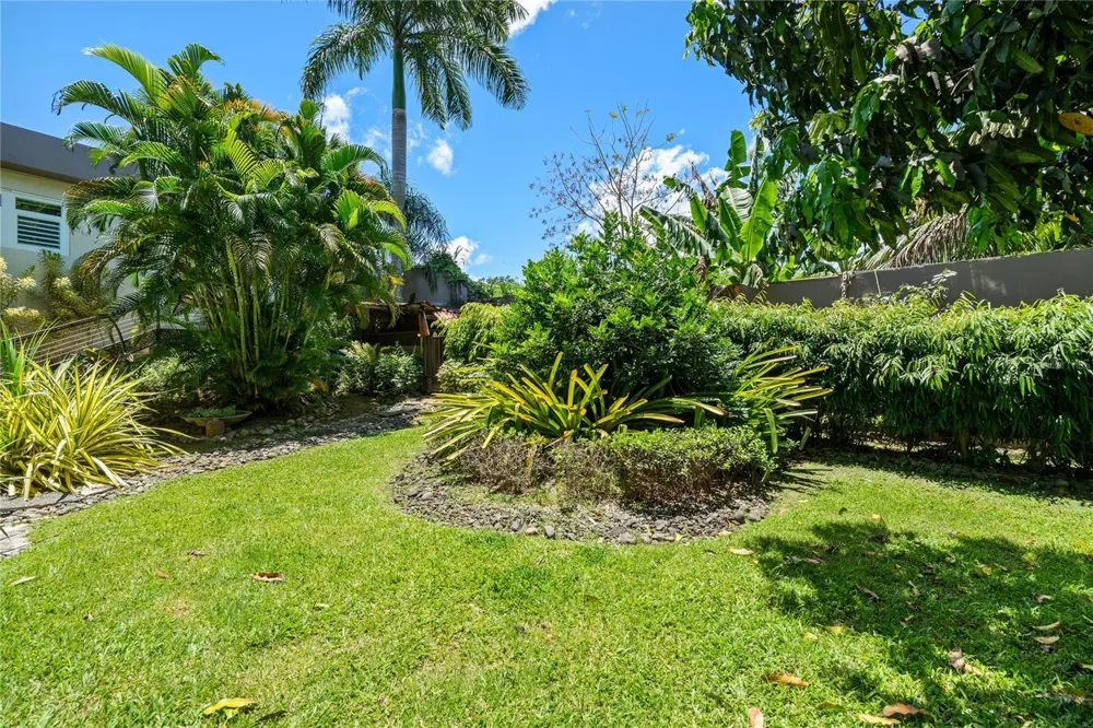 A31 COLINAS DE PARKVILLE STREET Guaynabo, PR 00969