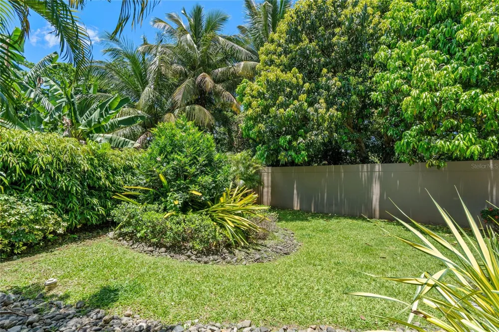 A31 COLINAS DE PARKVILLE STREET Guaynabo, PR 00969