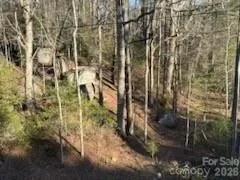 0 GREEN RIVER ROAD Zirconia, NC 28790