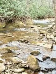 0 GREEN RIVER ROAD Zirconia, NC 28790