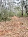 0 GREEN RIVER ROAD Zirconia, NC 28790