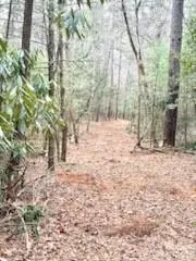 0 GREEN RIVER ROAD Zirconia, NC 28790