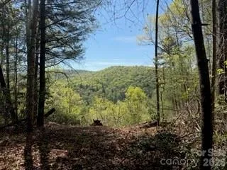 0 GREEN RIVER ROAD Zirconia, NC 28790