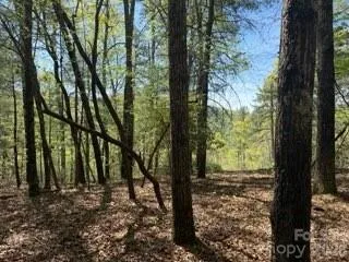 0 GREEN RIVER ROAD Zirconia, NC 28790