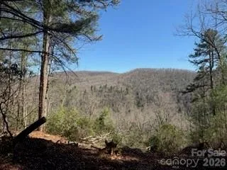 0 GREEN RIVER ROAD Zirconia, NC 28790