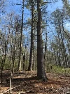 0 GREEN RIVER ROAD Zirconia, NC 28790