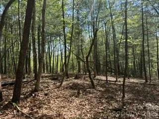 0 GREEN RIVER ROAD Zirconia, NC 28790