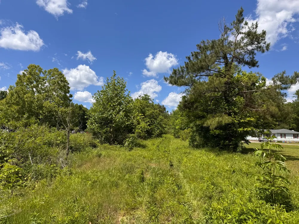 0 Dude Road Savannah, TN 38372