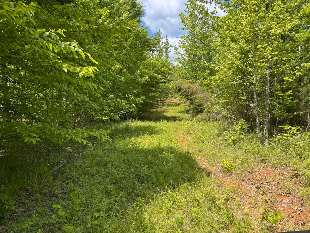 0 Dude Road Savannah, TN 38372