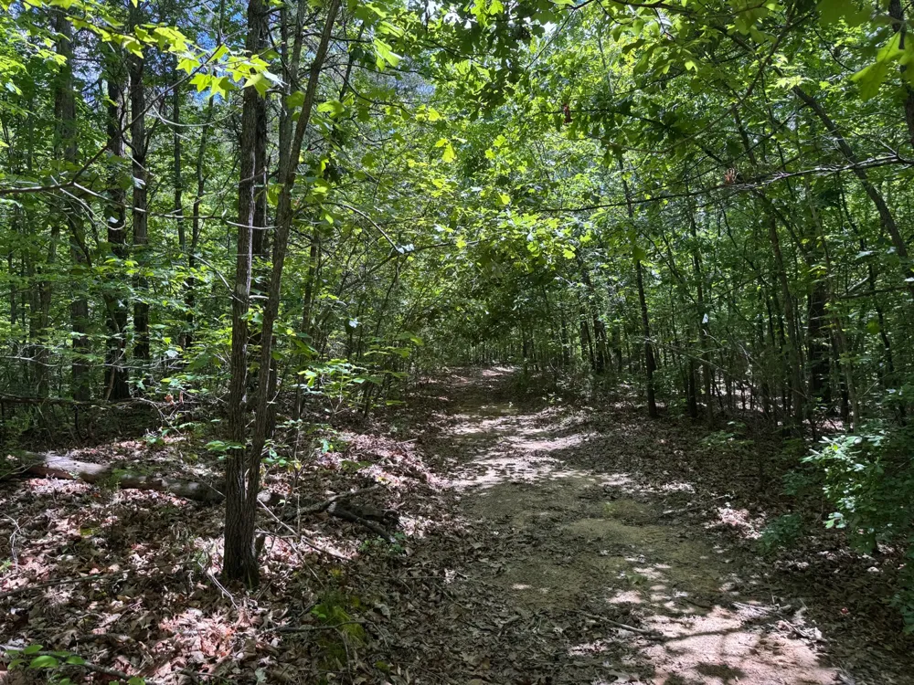 0 Dude Road Savannah, TN 38372