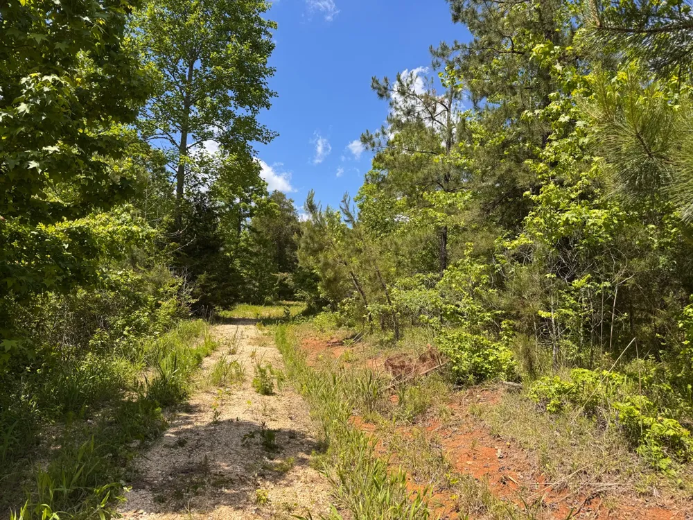 0 Dude Road Savannah, TN 38372