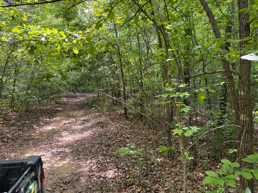 0 Dude Road Savannah, TN 38372
