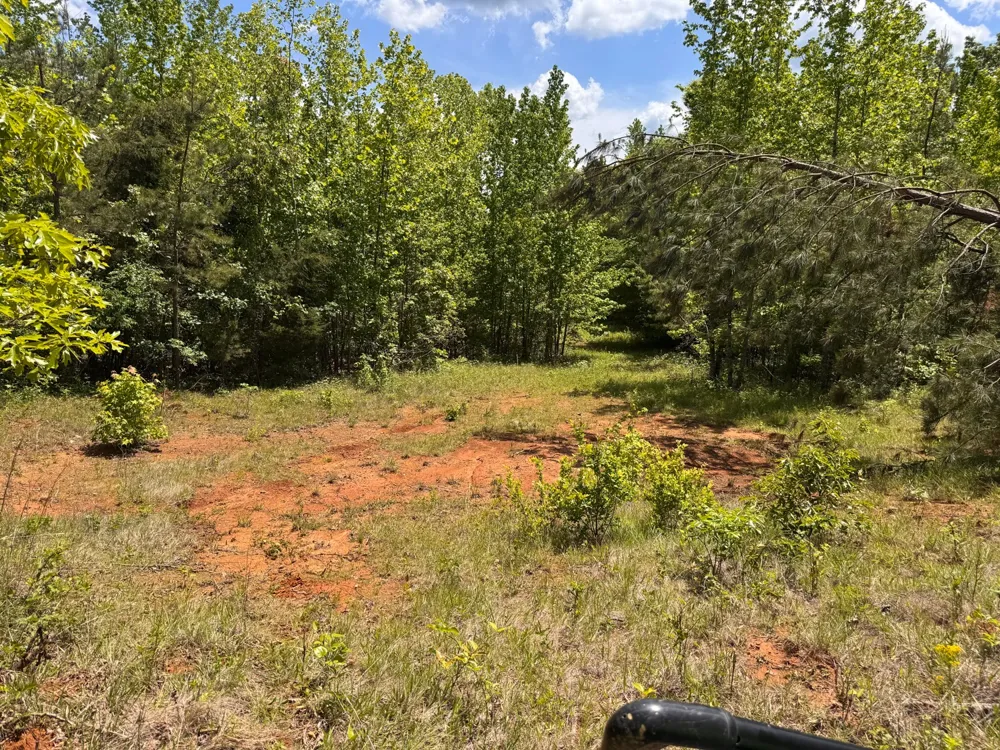 0 Dude Road Savannah, TN 38372