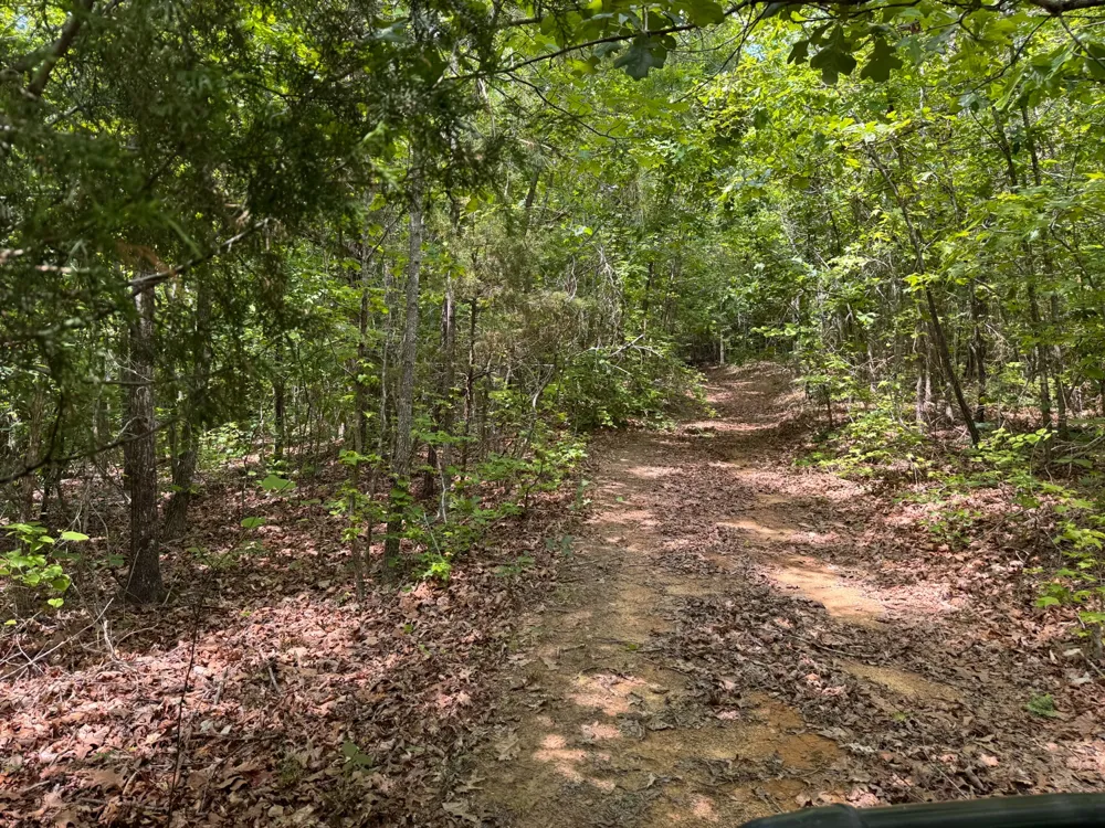 0 Dude Road Savannah, TN 38372