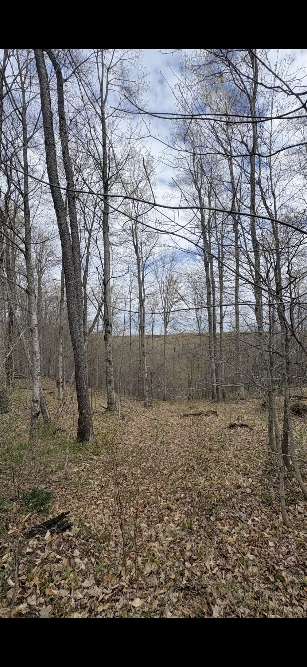 Valley Road Clearwater Township, MI 49676