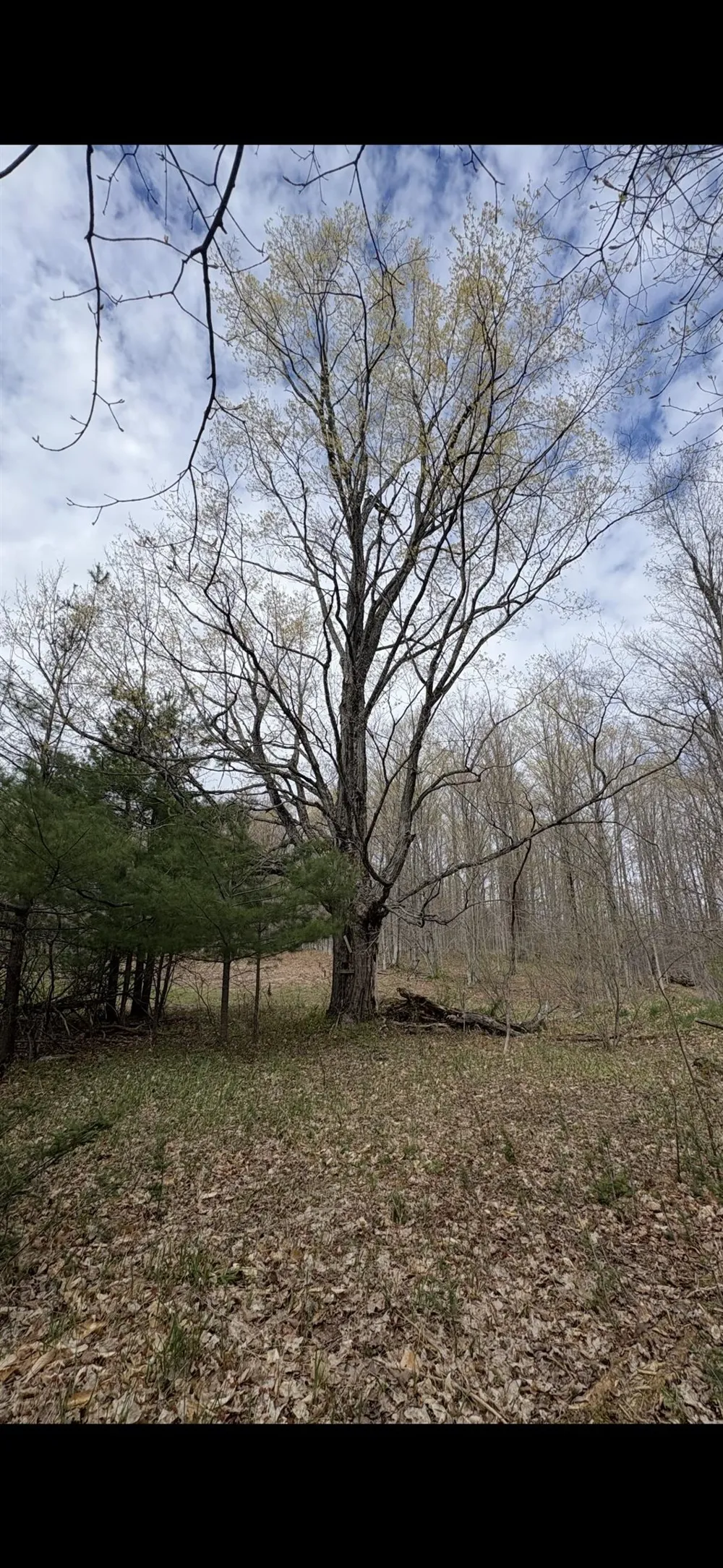 Valley Road Clearwater Township, MI 49676