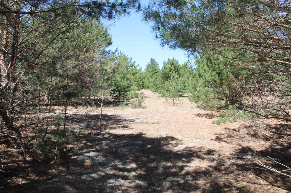 Valley Road Clearwater Township, MI 49676