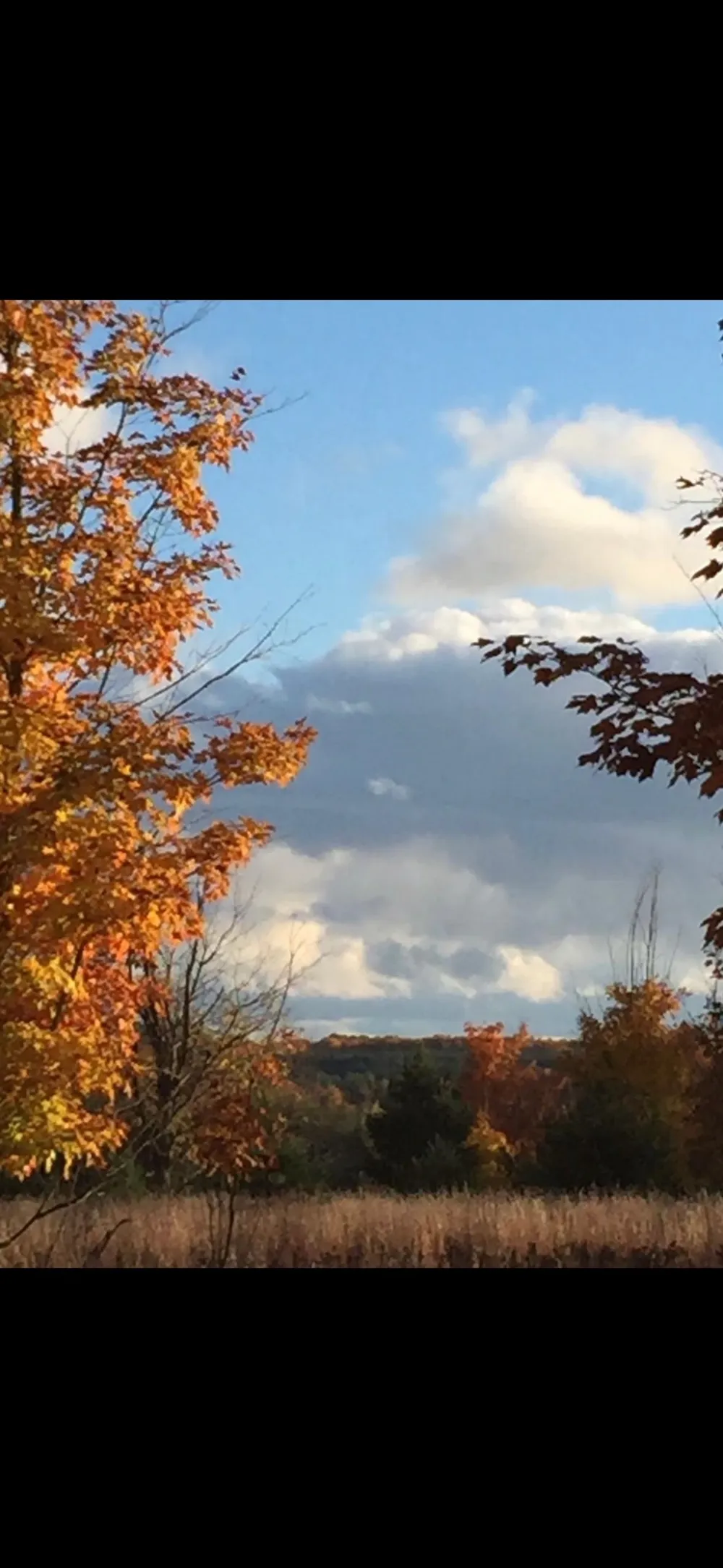 Valley Road Clearwater Township, MI 49676