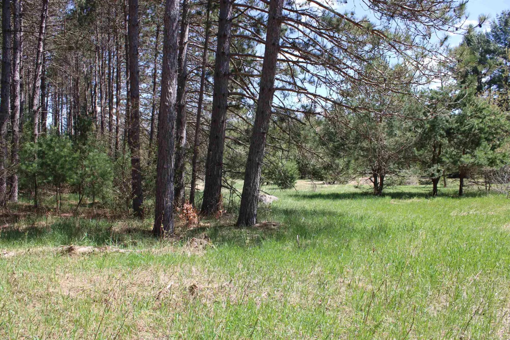 Valley Road Clearwater Township, MI 49676