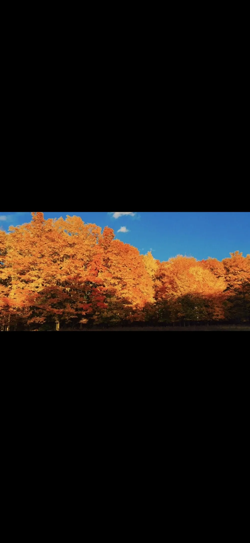 Valley Road Clearwater Township, MI 49676