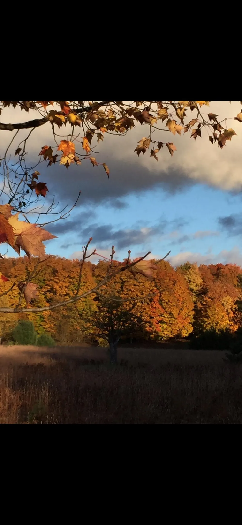 Valley Road Clearwater Township, MI 49676
