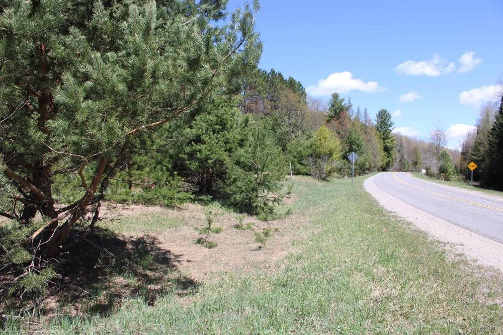 Valley Road Clearwater Township, MI 49676
