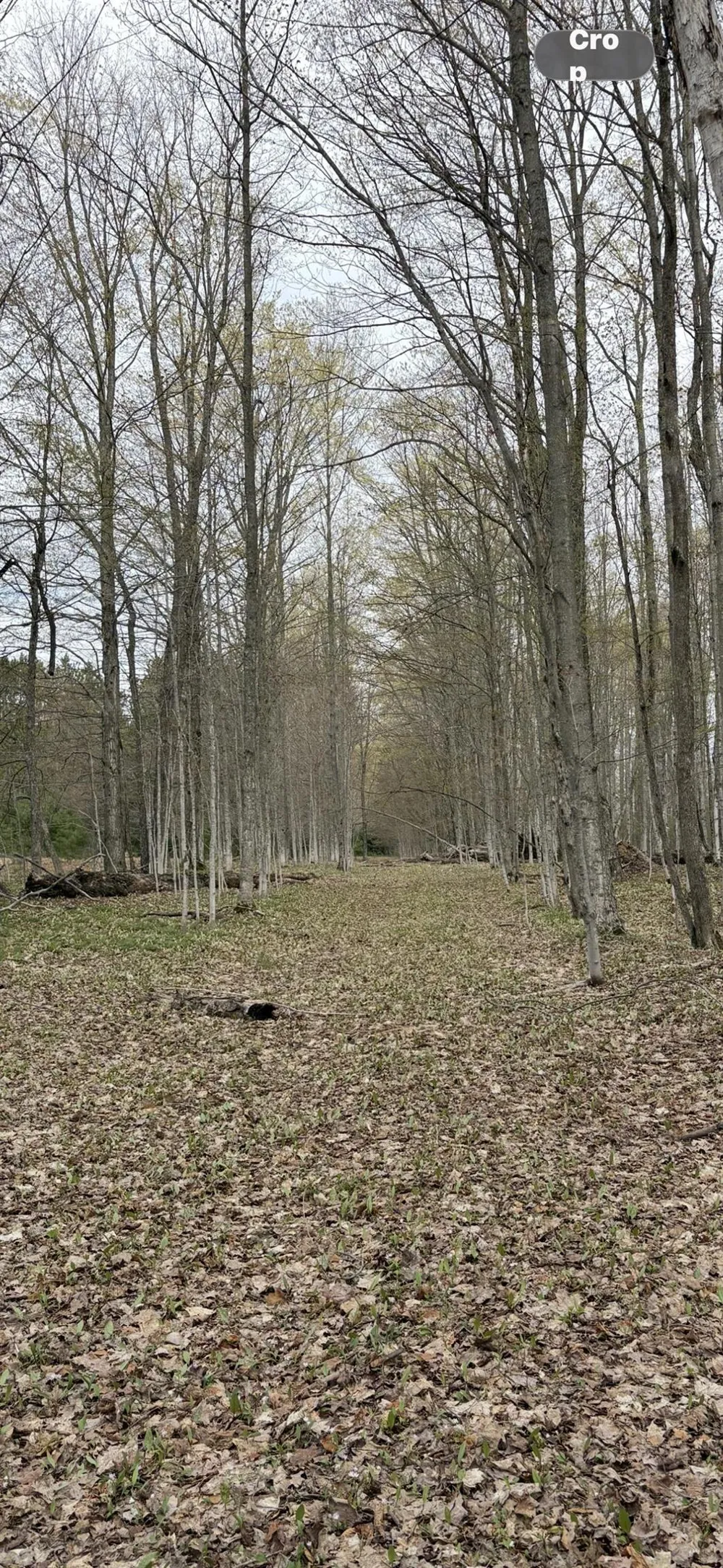 Valley Road Clearwater Township, MI 49676