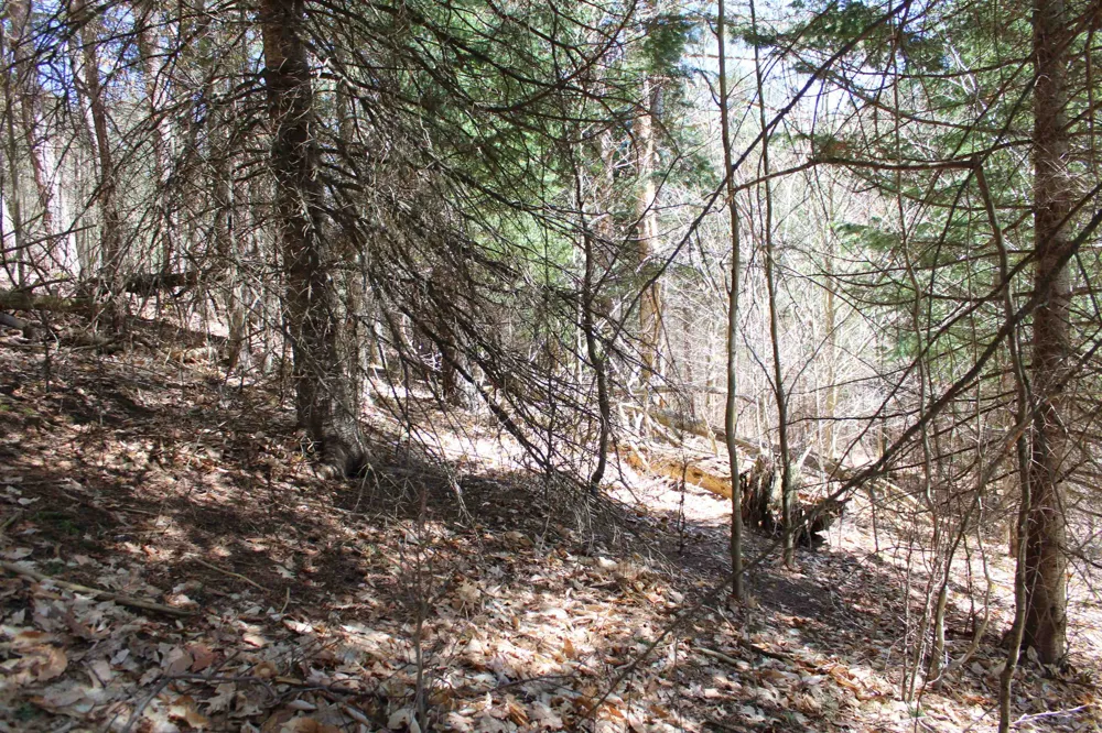 Valley Road Clearwater Township, MI 49676