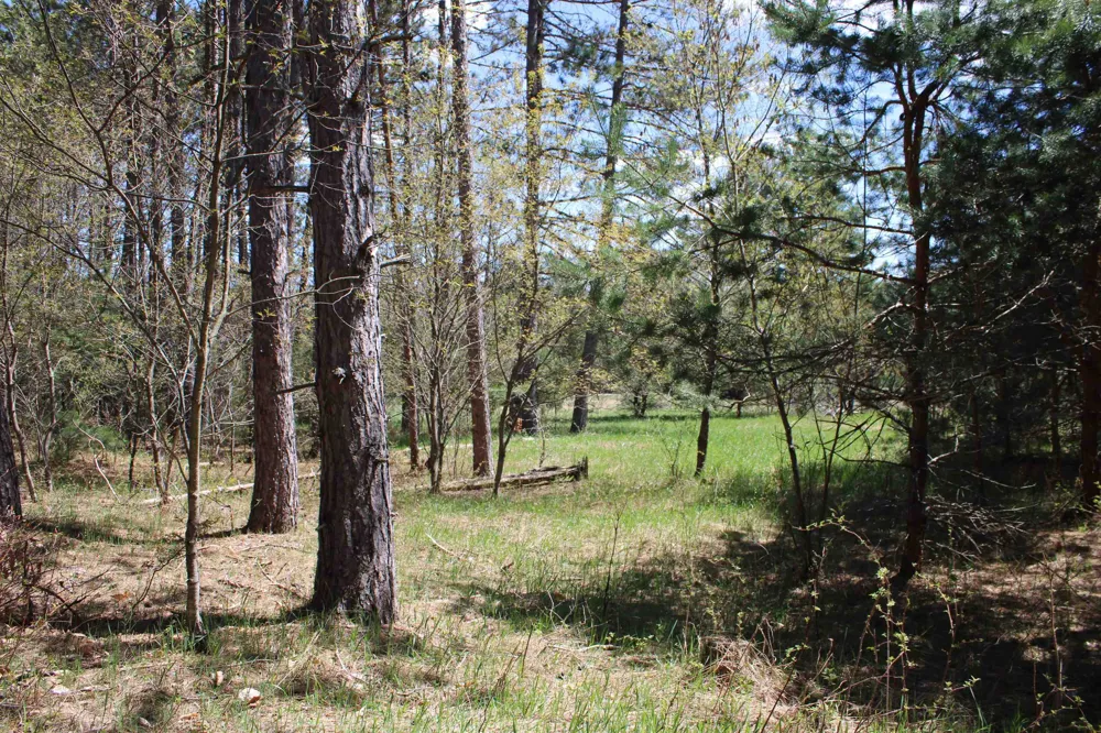 Valley Road Clearwater Township, MI 49676