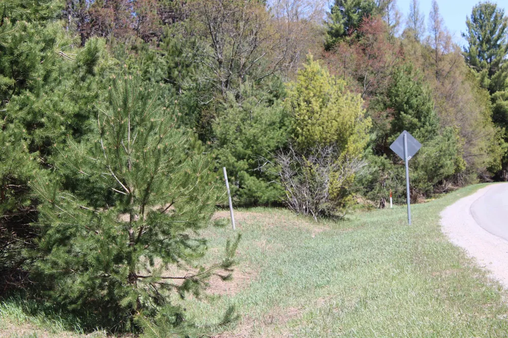 Valley Road Clearwater Township, MI 49676