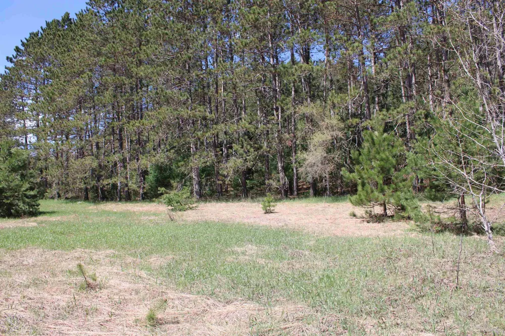 Valley Road Clearwater Township, MI 49676