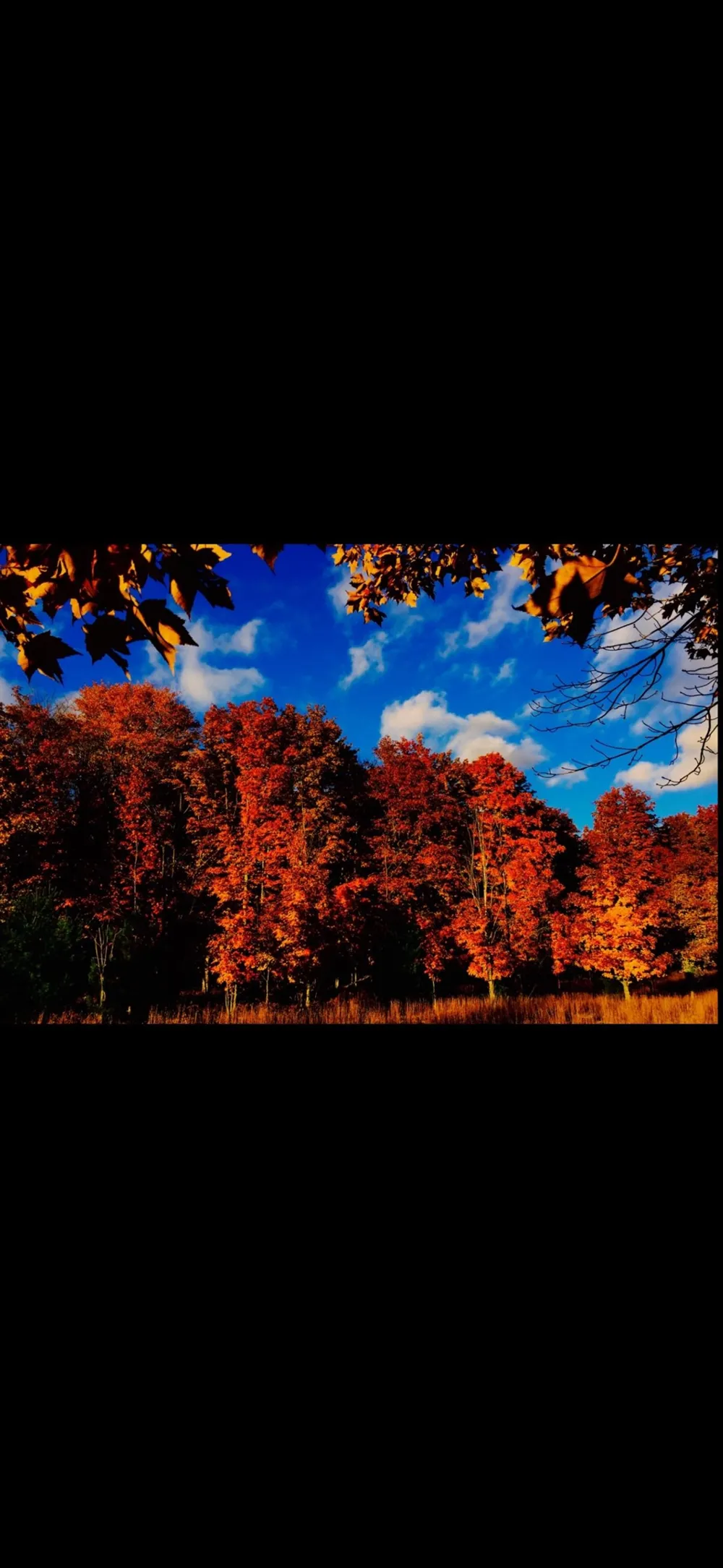 Valley Road Clearwater Township, MI 49676
