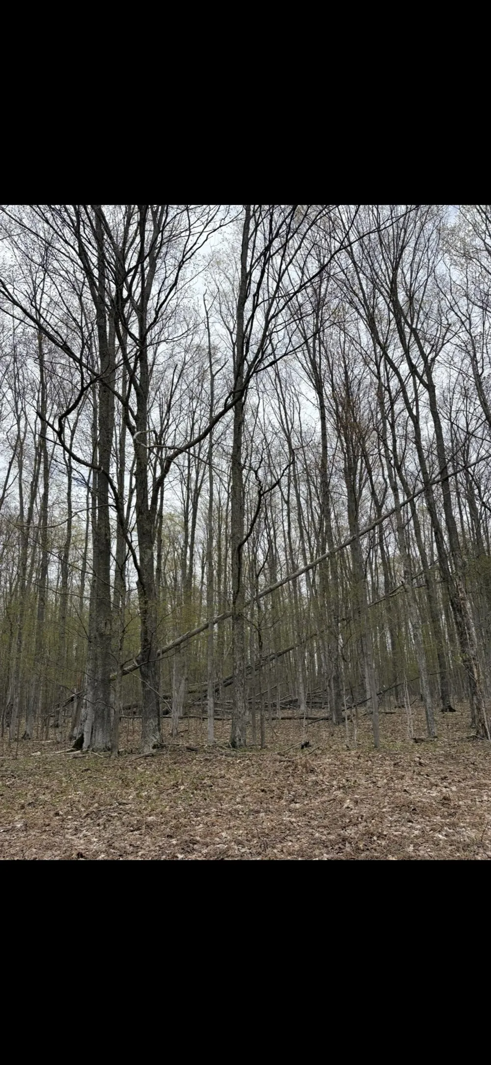 Valley Road Clearwater Township, MI 49676
