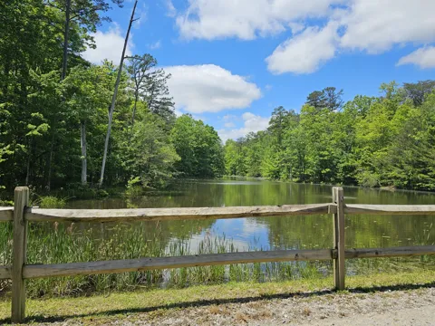 6 Beechwood Trail