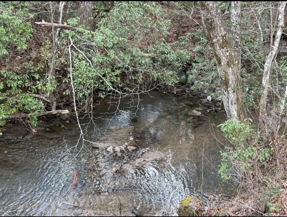 2000 Street Place Loop Monterey, TN 38574
